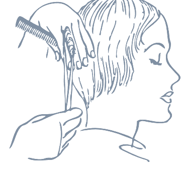 Hair illustration